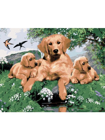 Diamantové maľovanie - ZLATÝ RETRÍVER A ŠTEŇATÁ (HOWARD ROBINSON) (Rámovanie bez rámu a bez vypnutia plátna, Rozmer 40x50 cm)