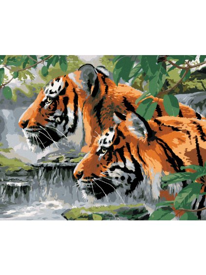 Diamantové maľovanie - STRIEHNUCI TIGRI PRI RIEKE (HOWARD ROBINSON) (Rámovanie bez rámu a bez vypnutia plátna, Rozmer 40x50 cm)