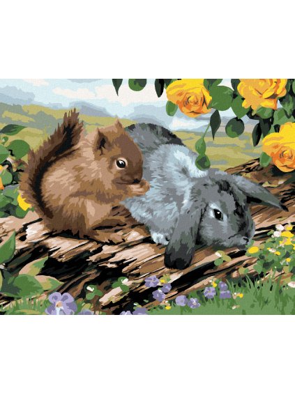 Diamantové maľovanie - VEVERIČKA A KRÁLIK NA PNI (HOWARD ROBINSON) (Rámovanie bez rámu a bez vypnutia plátna, Rozmer 40x50 cm)