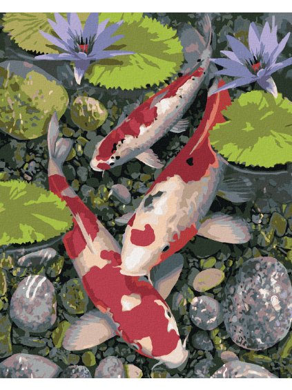 Diamantové maľovanie - KOI KAPRI A LEKNÍNY (HOWARD ROBINSON) (Rámovanie bez rámu a bez vypnutia plátna, Rozmer 40x50 cm)