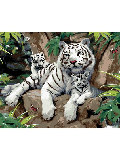 Diamantové maľovanie - BIELY TIGER S MLÁĎATAMI NA KAMENI (HOWARD ROBINSON) (Rámovanie bez rámu a bez vypnutia plátna, Rozmer 40x50 cm)