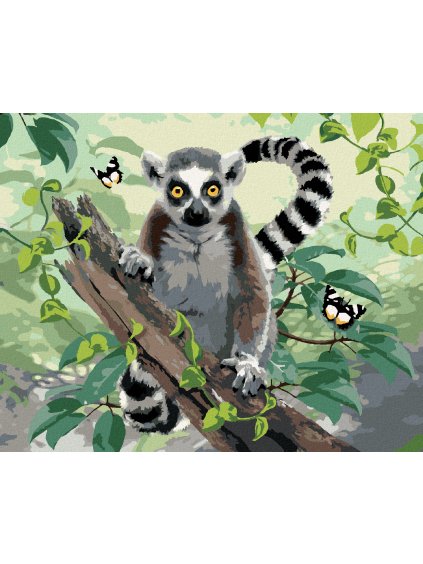 Diamantové maľovanie - LEMUR A MOTÝLE (HOWARD ROBINSON) (Rámovanie bez rámu a bez vypnutia plátna, Rozmer 40x50 cm)