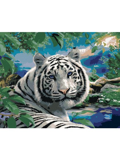 Diamantové maľovanie - BIELY TIGER A DIVOKÁ PRÍRODA (HOWARD ROBINSON) (Rámovanie bez rámu a bez vypnutia plátna, Rozmer 40x50 cm)