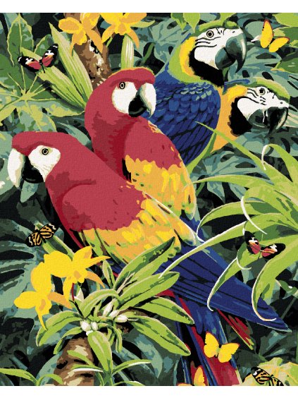 Diamantové maľovanie - FAREBNÉ PAPAGÁJE (HOWARD ROBINSON) (Rámovanie bez rámu a bez vypnutia plátna, Rozmer 40x50 cm)