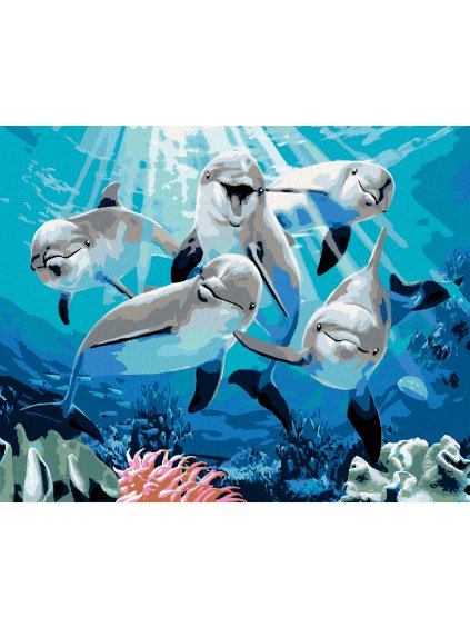 Diamantové maľovanie - VESELÉ DELFÍNY (HOWARD ROBINSON) (Rámovanie bez rámu a bez vypnutia plátna, Rozmer 40x50 cm)