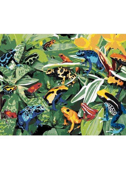 Diamantové maľovanie - FAREBNÉ ŽABY (HOWARD ROBINSON) (Rámovanie bez rámu a bez vypnutia plátna, Rozmer 40x50 cm)