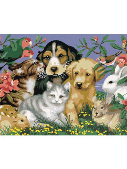 Diamantové maľovanie - DOMÁCE ZVIERATÁ V PRÍRODE (HOWARD ROBINSON) (Rámovanie bez rámu a bez vypnutia plátna, Rozmer 40x50 cm)