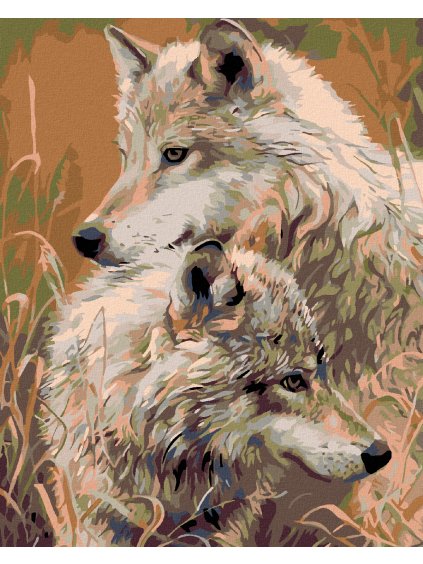 Diamantové maľovanie - ŠEDÍ VLCI (Rámovanie bez rámu a bez vypnutia plátna, Rozmer 40x50 cm)