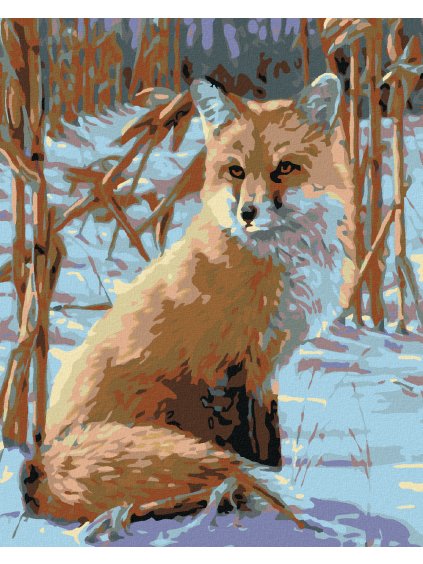 Diamantové maľovanie - ČÍHAJÚCI LÍŠKA (Rámovanie bez rámu a bez vypnutia plátna, Rozmer 40x50 cm)