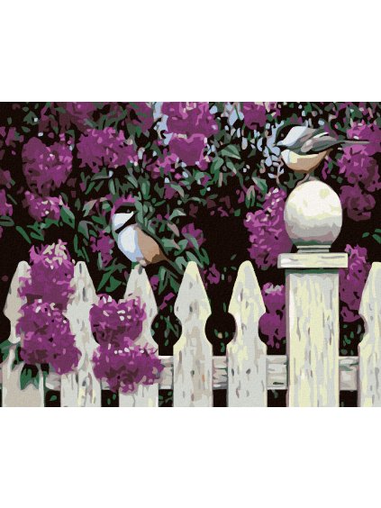 Diamantové maľovanie - SÝKORKY NA PLOTE (Rámovanie bez rámu a bez vypnutia plátna, Rozmer 40x50 cm)