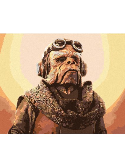 Diamantové maľovanie - KUIIL (MANDALORIAN) (Rámovanie bez rámu a bez vypnutia plátna, Rozmer 40x50 cm)