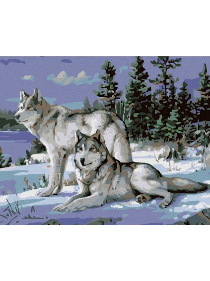 Diamantové maľovanie - VLCI II (Rámovanie bez rámu a bez vypnutia plátna, Rozmer 40x50 cm)