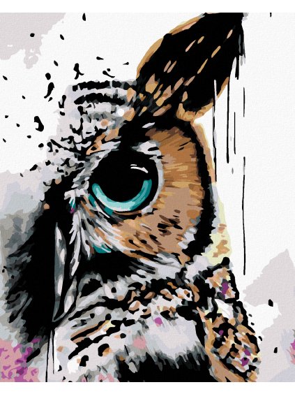 Diamantové maľovanie - ABSTRAKT SOVY (Rámovanie bez rámu a bez vypnutia plátna, Rozmer 40x50 cm)