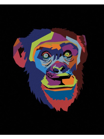 Diamantové maľovanie - ABSTRAKTNÁ POP-ART OPICA NA ČIERNOM POZADIÍ (Rámovanie bez rámu a bez vypnutia plátna, Rozmer 40x50 cm)