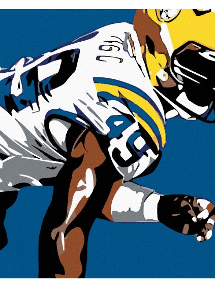 Diamantové maľovanie - AMERICKÝ FUTBAL (Rámovanie bez rámu a bez vypnutia plátna, Rozmer 40x50 cm)