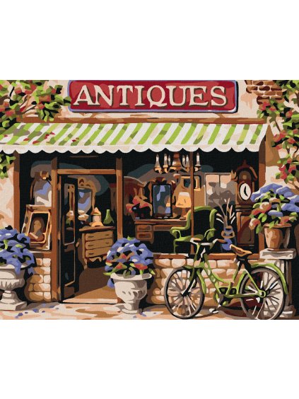 Diamantové maľovanie - ANTIQUARIAT (Rámovanie bez rámu a bez vypnutia plátna, Rozmer 40x50 cm)