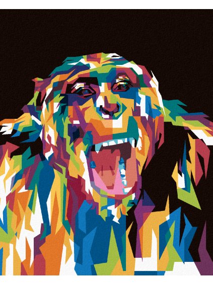 Diamantové maľovanie - FAREBNÁ GORILA (Rámovanie bez rámu a bez vypnutia plátna, Rozmer 40x50 cm)
