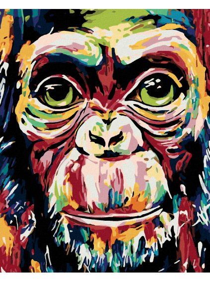 Diamantové maľovanie - FAREBNÁ OPICA (Rámovanie bez rámu a bez vypnutia plátna, Rozmer 40x50 cm)