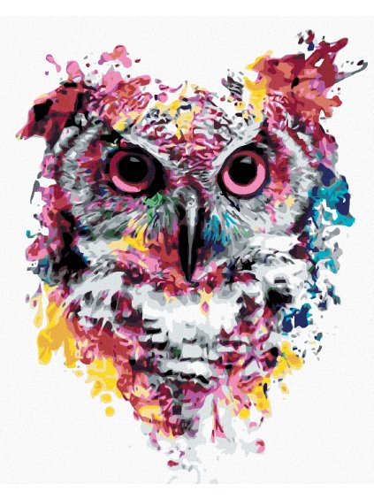 Diamantové maľovanie - FAREBNÁ SOVA (Rámovanie bez rámu a bez vypnutia plátna, Rozmer 40x50 cm)