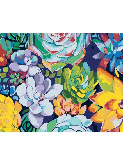 Diamantové maľovanie - FAREBNÉ SUKULENTY (Rámovanie bez rámu a bez vypnutia plátna, Rozmer 40x50 cm)