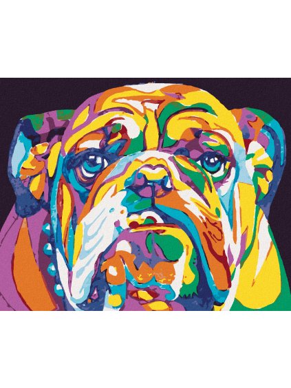 Diamantové maľovanie - FAREBNÝ BULLDOG (Rámovanie bez rámu a bez vypnutia plátna, Rozmer 40x50 cm)