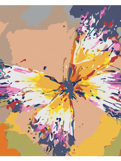 Diamantové maľovanie - FAREBNÝ MOTÝĽ (Rámovanie bez rámu a bez vypnutia plátna, Rozmer 40x50 cm)
