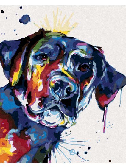 Diamantové maľovanie - FAREBNÝ PES (Rámovanie bez rámu a bez vypnutia plátna, Rozmer 40x50 cm)