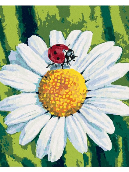 Diamantové maľovanie - LIENKA NA HARMANČEKU (Rámovanie bez rámu a bez vypnutia plátna, Rozmer 40x50 cm)