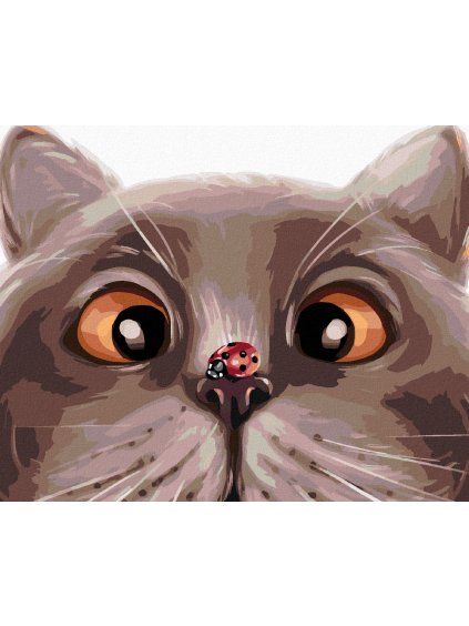Diamantové maľovanie - LIENKA NA MAČIČKE (Rámovanie bez rámu a bez vypnutia plátna, Rozmer 40x50 cm)