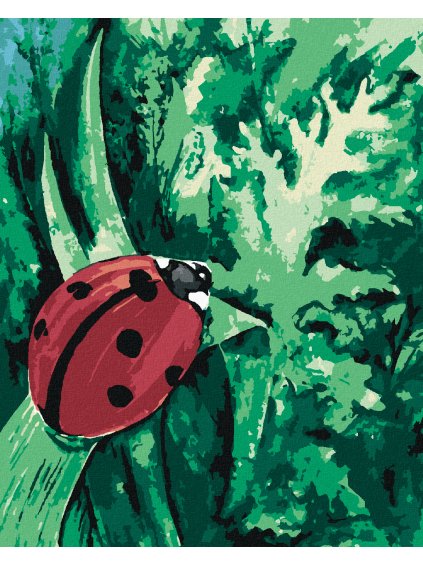 Diamantové maľovanie - LIENKA NA TRÁVE (Rámovanie bez rámu a bez vypnutia plátna, Rozmer 40x50 cm)