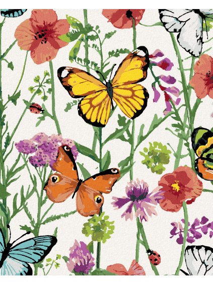 Diamantové maľovanie - LIENKY A MOTÝLIKY (Rámovanie bez rámu a bez vypnutia plátna, Rozmer 40x50 cm)
