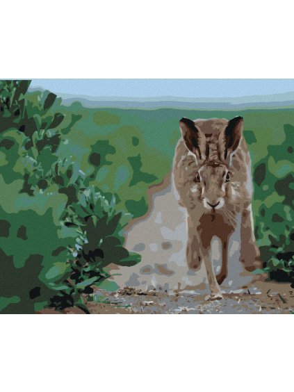 Diamantové maľovanie - BEŽIACI ZAJAC (Rámovanie bez rámu a bez vypnutia plátna, Rozmer 40x50 cm)