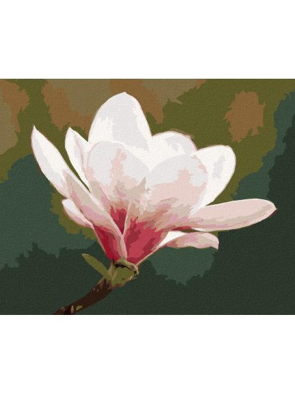 Diamantové maľovanie - BIELA MAGNÓLIA (Rámovanie bez rámu a bez vypnutia plátna, Rozmer 40x50 cm)