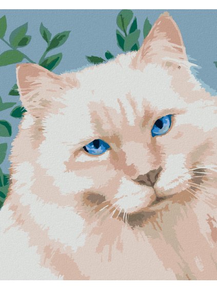 Diamantové maľovanie - BIELY KOCÚR (MYROSLAVA VOLOSCHUK) (Rámovanie bez rámu a bez vypnutia plátna, Rozmer 40x50 cm)