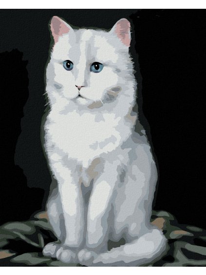 Diamantové maľovanie - BIELY KOCÚR 2 (MYROSLAVA VOLOSCHUK) (Rámovanie bez rámu a bez vypnutia plátna, Rozmer 40x50 cm)