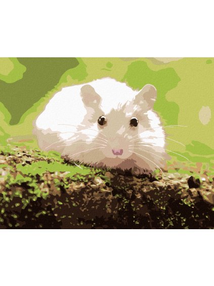 Diamantové maľovanie - BIELY SKREČOK V LESE (Rámovanie bez rámu a bez vypnutia plátna, Rozmer 40x50 cm)