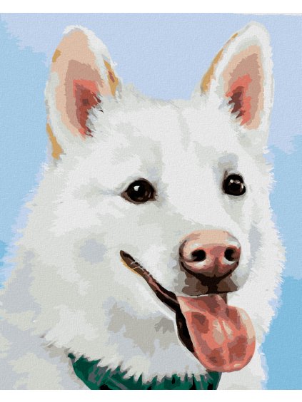 Diamantové maľovanie - BIELY ŠVAJČIARSKY OVČIAK (MYROSLAVA VOLOSCHUK) (Rámovanie bez rámu a bez vypnutia plátna, Rozmer 40x50 cm)