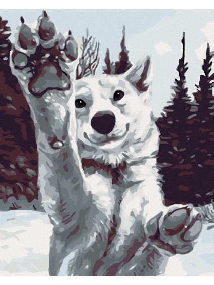 Diamantové maľovanie - BIELY VLK (Rámovanie bez rámu a bez vypnutia plátna, Rozmer 40x50 cm)