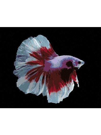 Diamantové maľovanie - BOJOVNICA RYBA BIELOČERVENÁ (Rámovanie bez rámu a bez vypnutia plátna, Rozmer 40x50 cm)