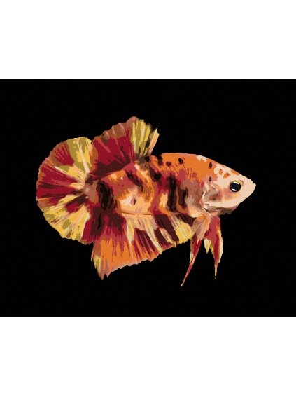 Diamantové maľovanie - BOJOVNICA RYBA FĽAKATÁ (Rámovanie bez rámu a bez vypnutia plátna, Rozmer 40x50 cm)