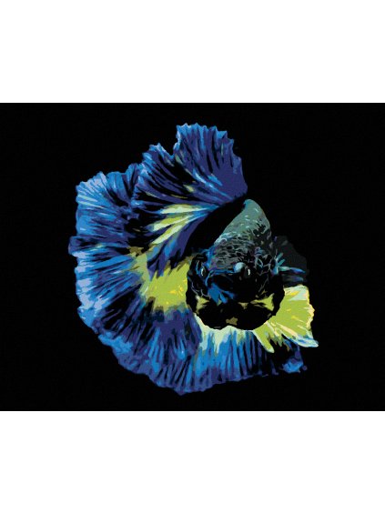 Diamantové maľovanie - BOJOVNICA RYBA MODRÁ (Rámovanie bez rámu a bez vypnutia plátna, Rozmer 40x50 cm)