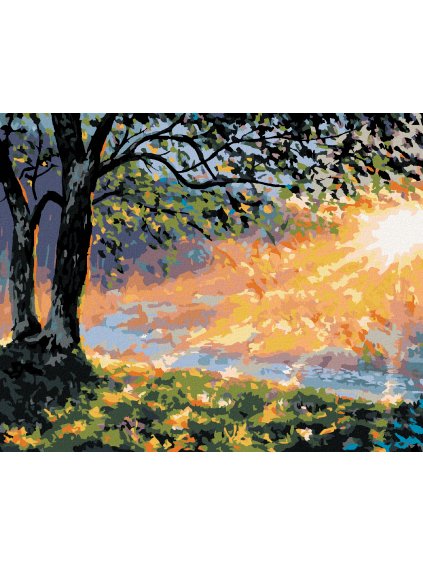 Diamantové maľovanie - SKORÉ RÁNO V LESE (Rámovanie bez rámu a bez vypnutia plátna, Rozmer 40x50 cm)