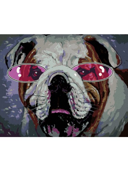 Diamantové maľovanie - BULDOČEK S RUŽOVÝMI OKULIARMI (Rámovanie bez rámu a bez vypnutia plátna, Rozmer 40x50 cm)
