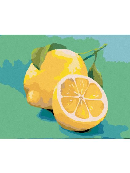 Diamantové maľovanie - CITRÓN 3 (MYROSLAVA VOLOSCHUK) (Rámovanie bez rámu a bez vypnutia plátna, Rozmer 40x50 cm)