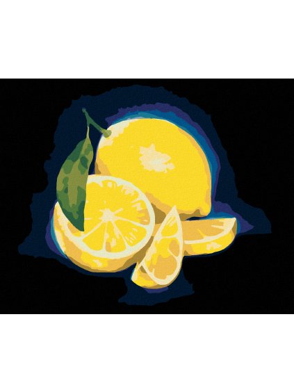 Diamantové maľovanie - CITRÓN 4 (MYROSLAVA VOLOSCHUK) (Rámovanie bez rámu a bez vypnutia plátna, Rozmer 40x50 cm)