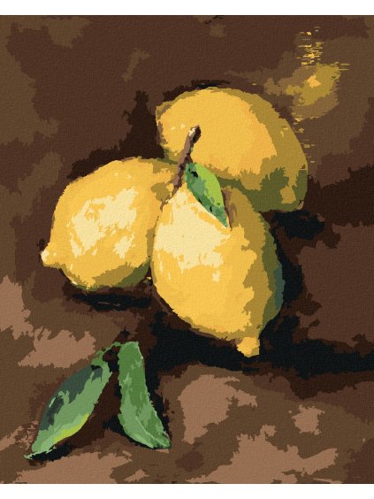 Diamantové maľovanie - CITRÓNY (Rámovanie bez rámu a bez vypnutia plátna, Rozmer 40x50 cm)
