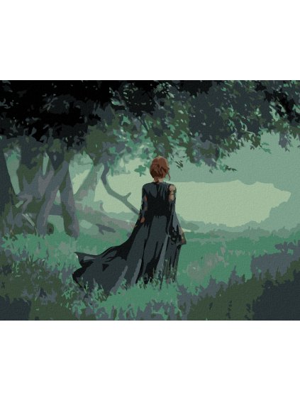 Diamantové maľovanie - ČARODEJNICA NA KRAJI TEMNÉHO LESA (Rámovanie bez rámu a bez vypnutia plátna, Rozmer 40x50 cm)