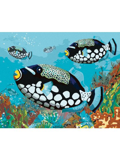 Diamantové maľovanie - ČIERNE RYBKY (Rámovanie bez rámu a bez vypnutia plátna, Rozmer 40x50 cm)