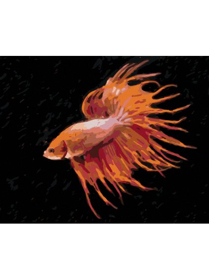 Diamantové maľovanie - ČERVENÁ RYBA (Rámovanie bez rámu a bez vypnutia plátna, Rozmer 40x50 cm)