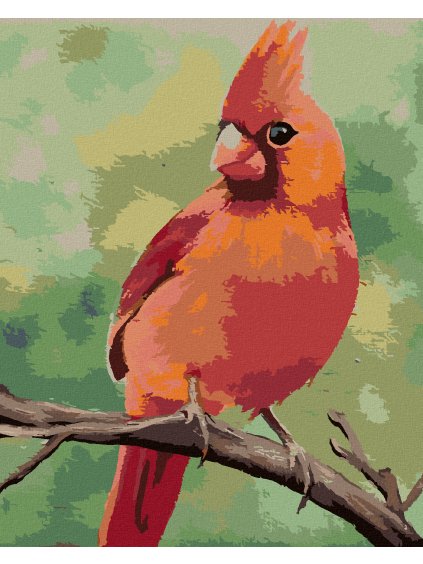 Diamantové maľovanie - ČERVENÝ VTÁČIK 2 (MYROSLAVA VOLOSCHUK) (Rámovanie bez rámu a bez vypnutia plátna, Rozmer 40x50 cm)